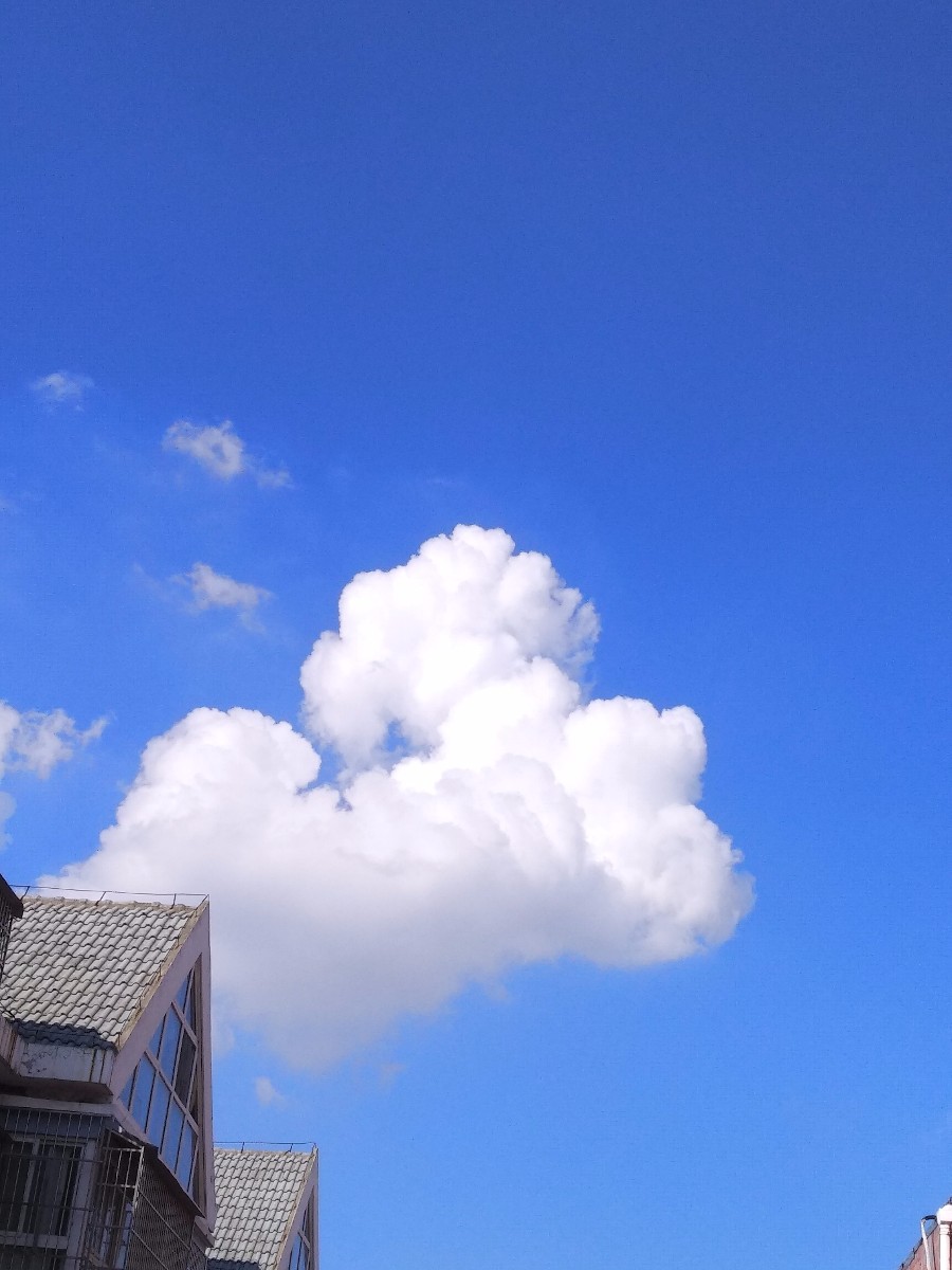 IMG_20180714_162426.jpg