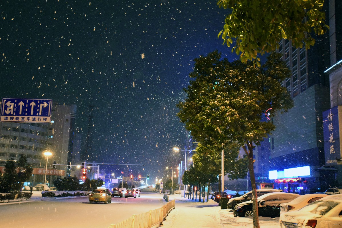 8.JPG 8.JPG