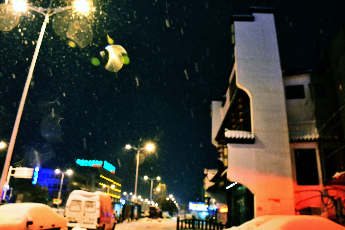 DSC_0081.JPG DSC_0081.JPG