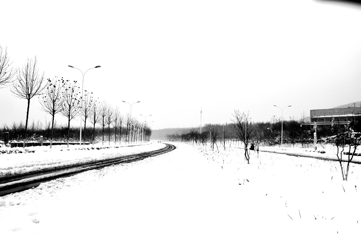 DSC_0100.JPG DSC_0100.JPG