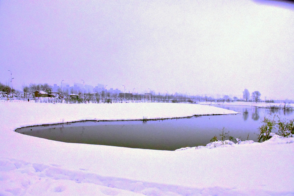 DSC_0012.JPG DSC_0012.JPG