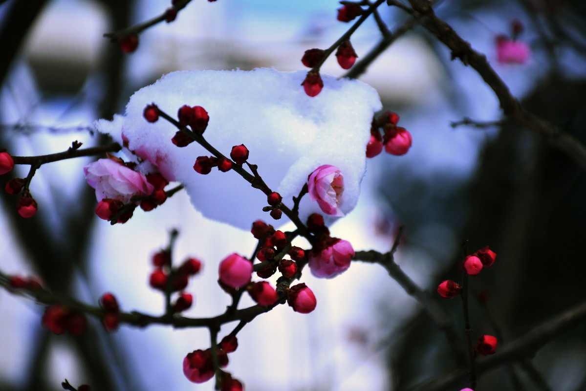 DSC_0168.JPG DSC_0168.JPG