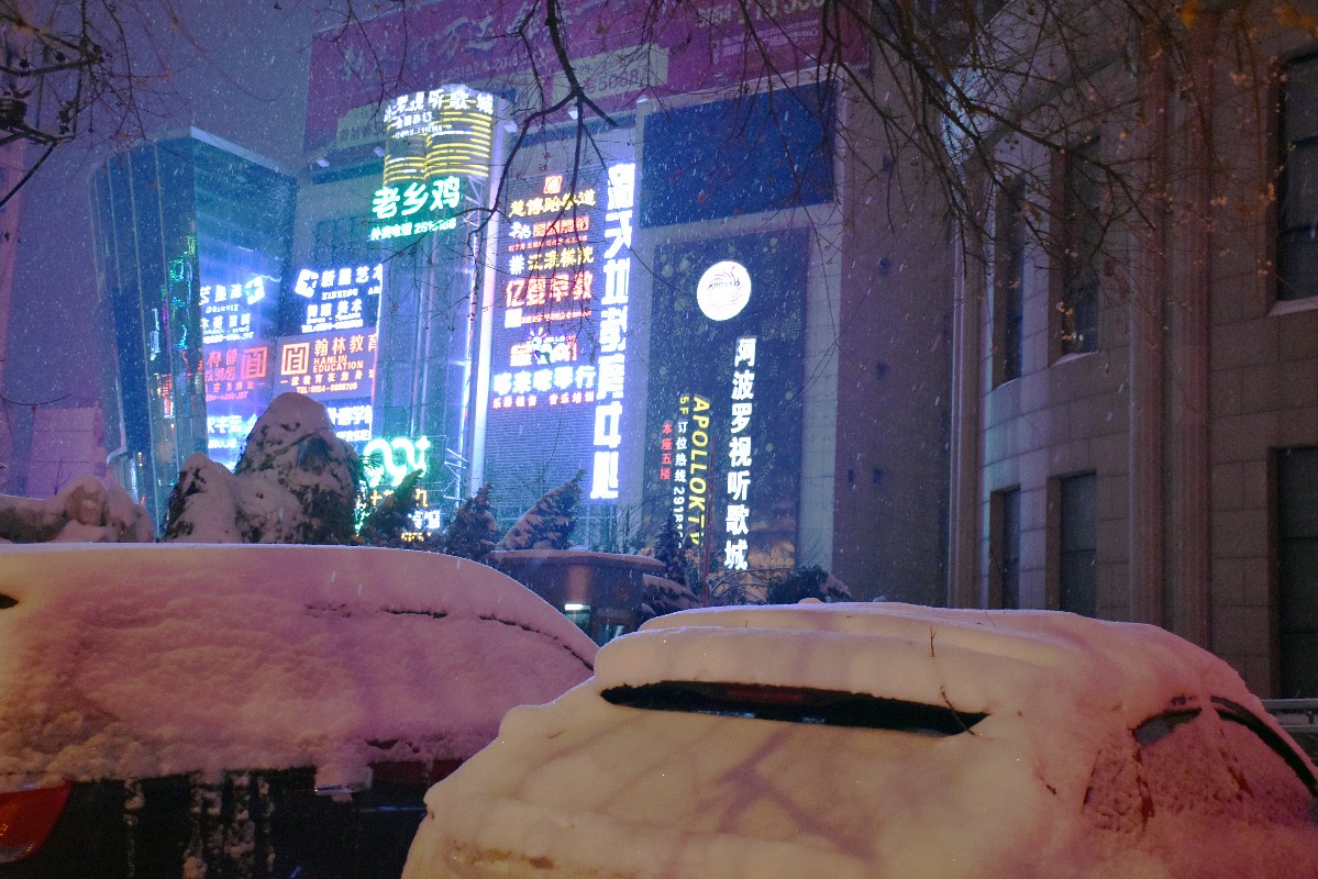 DSC_007311.JPG DSC_007311.JPG