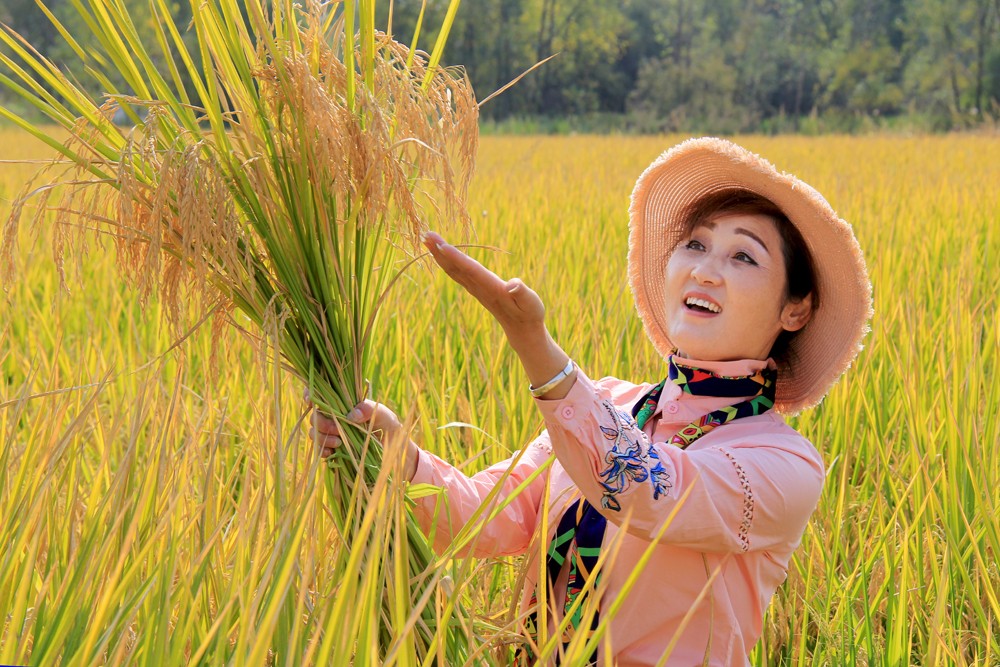 夏日情懷.JPG