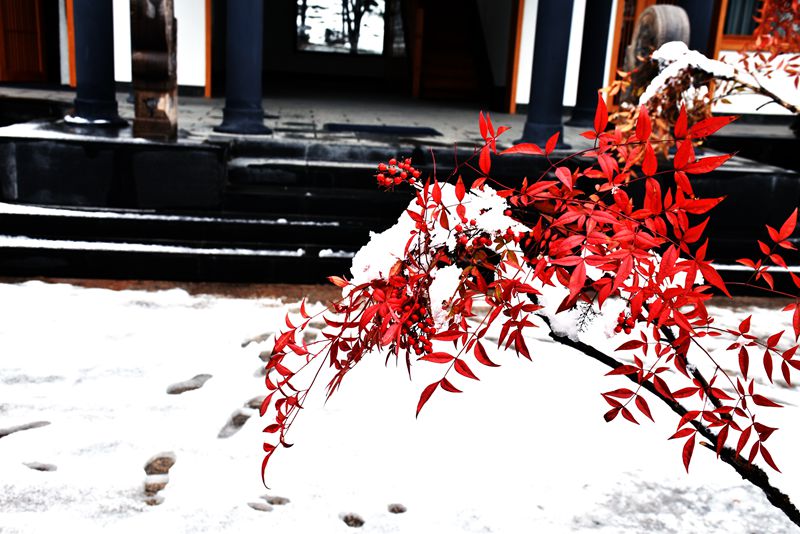 DSC_0806.JPG