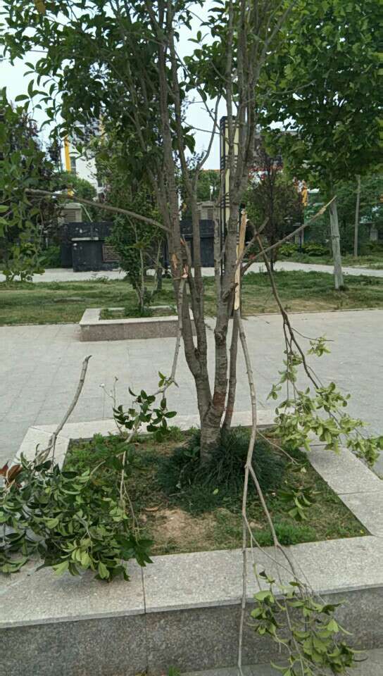 微信圖片_20190515073426.jpg