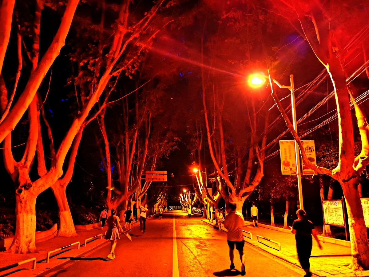 20190611012.jpg