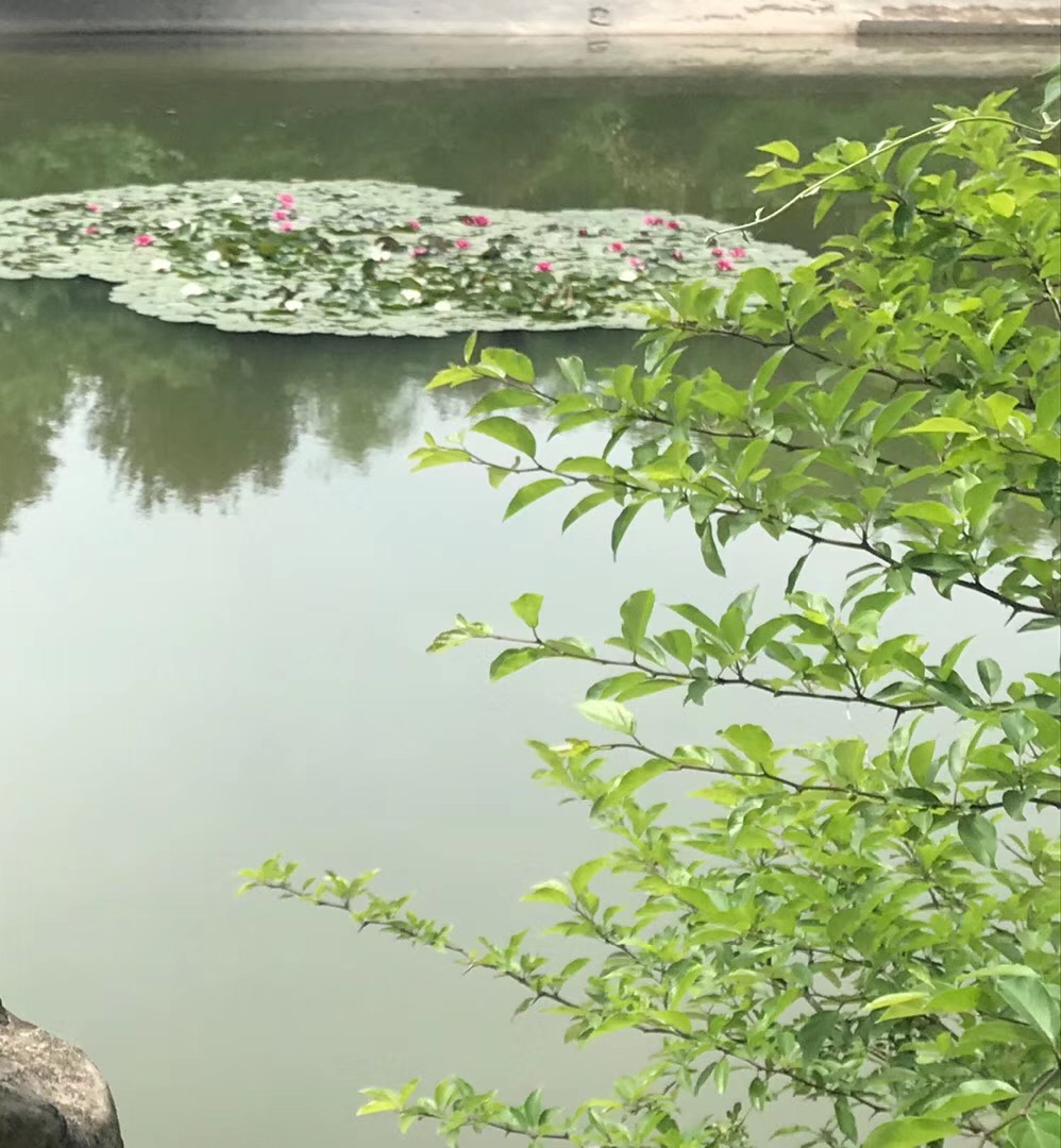 微信圖片_20190612142106.jpg