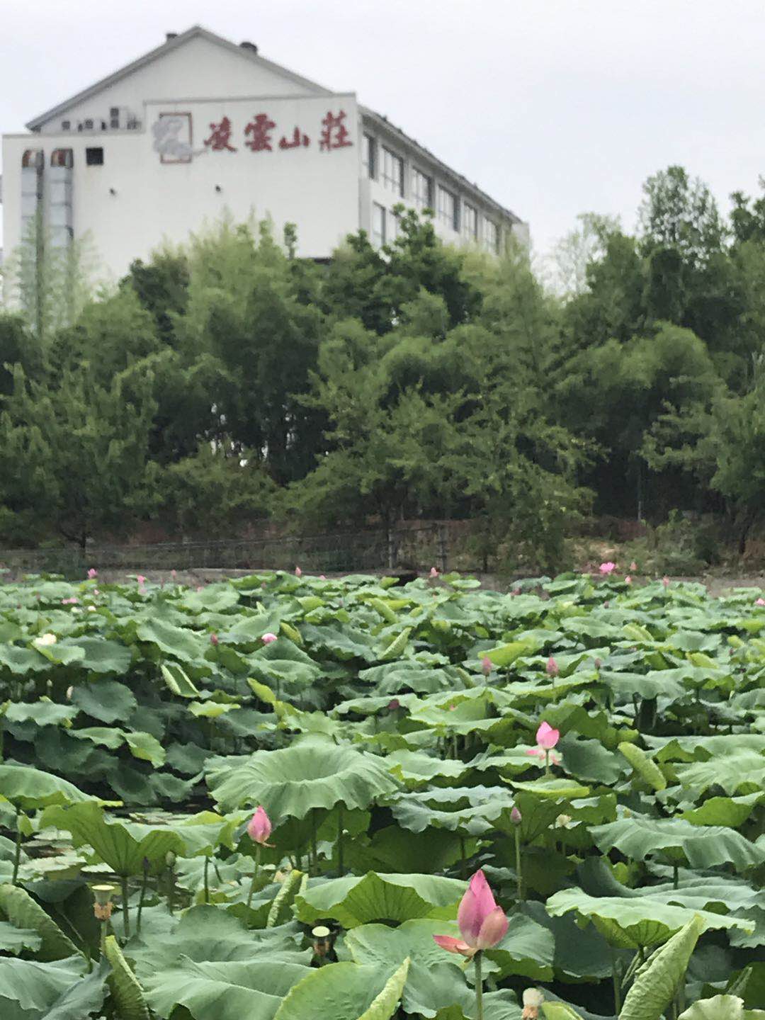 微信圖片_20190629100948.jpg