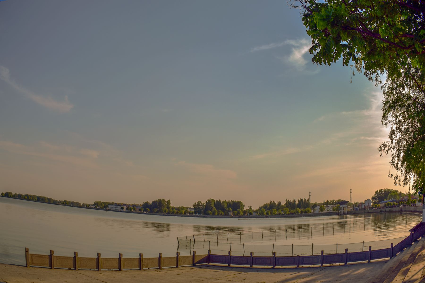 DSC_0321.JPG DSC_0321.JPG