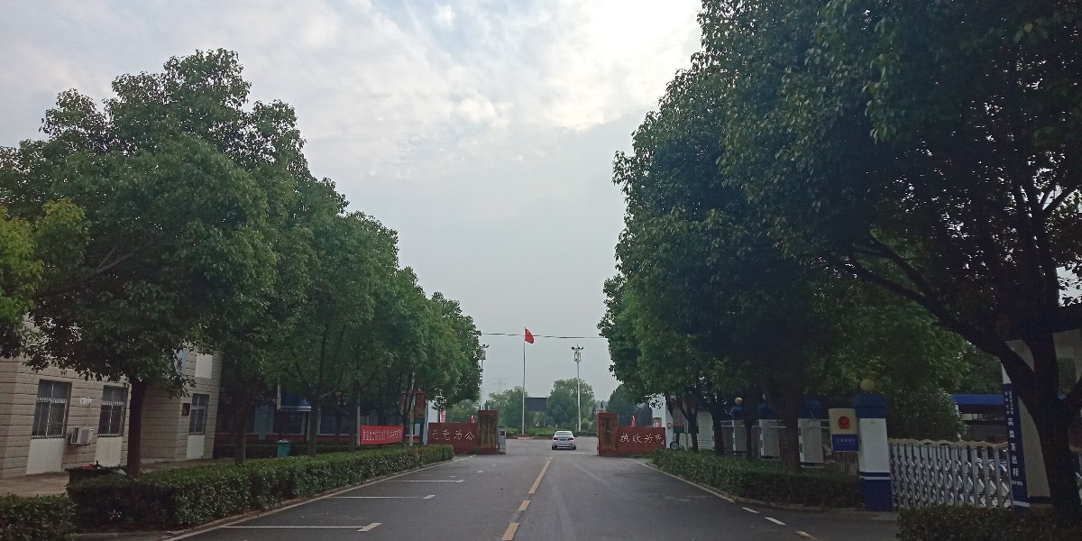 04.jpg
