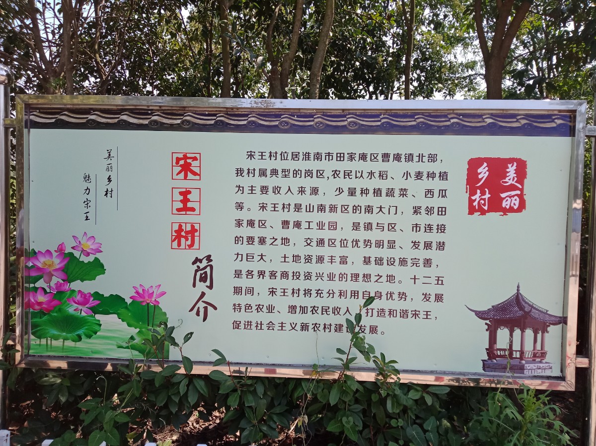 01IMG20190820135514.jpg