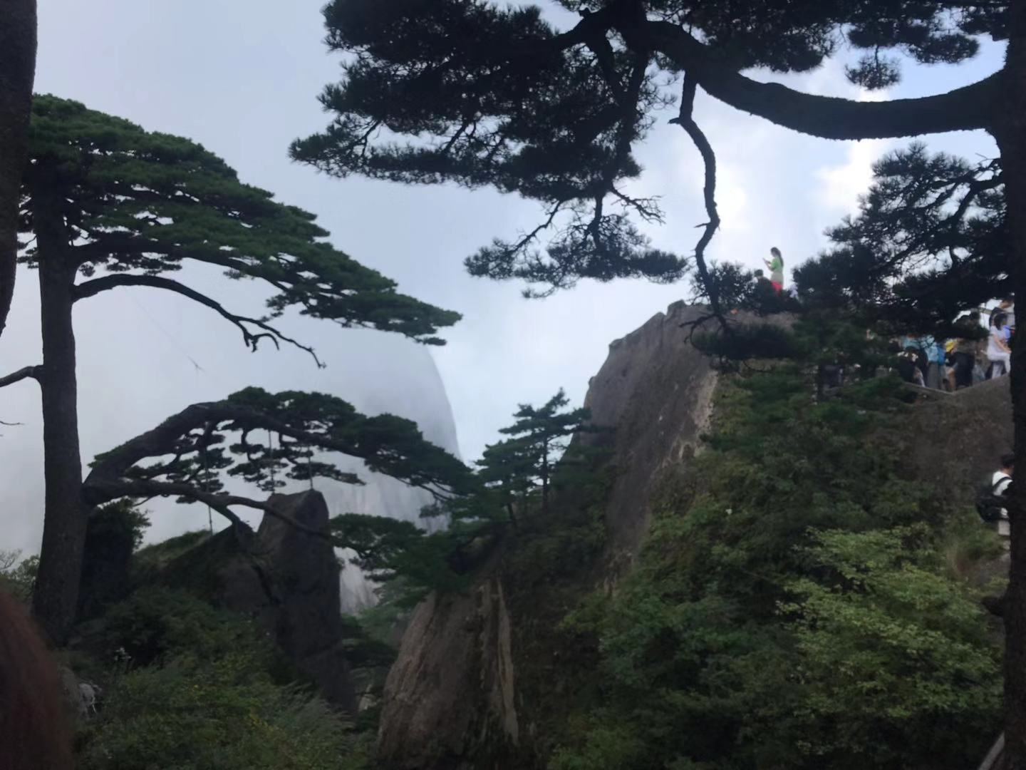 微信圖片_201908270850297.jpg