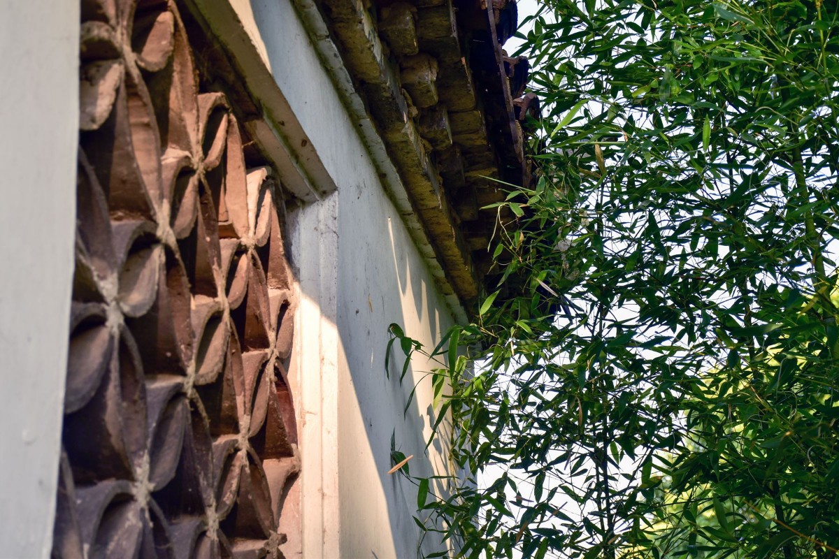DSC_0329.JPG DSC_0329.JPG