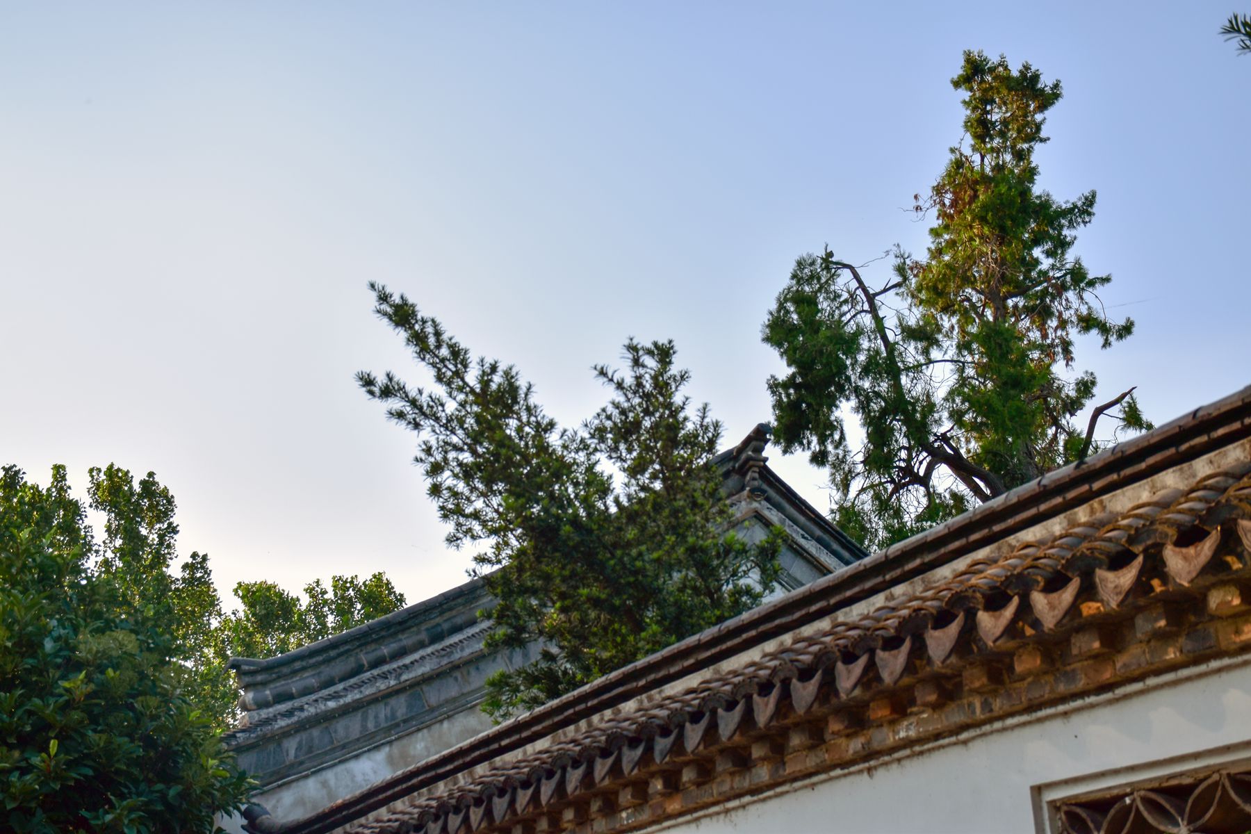 DSC_0330.JPG DSC_0330.JPG