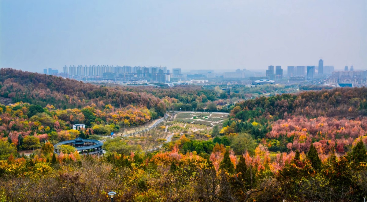 微信圖片_20191110100215.jpg