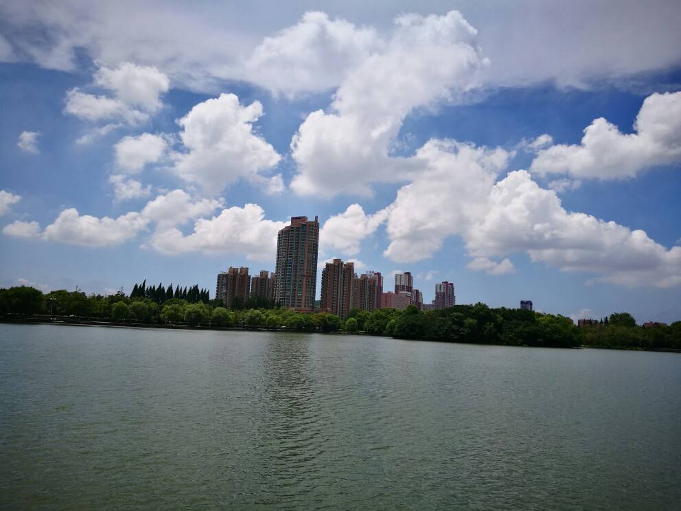 7653136_889732.jpg