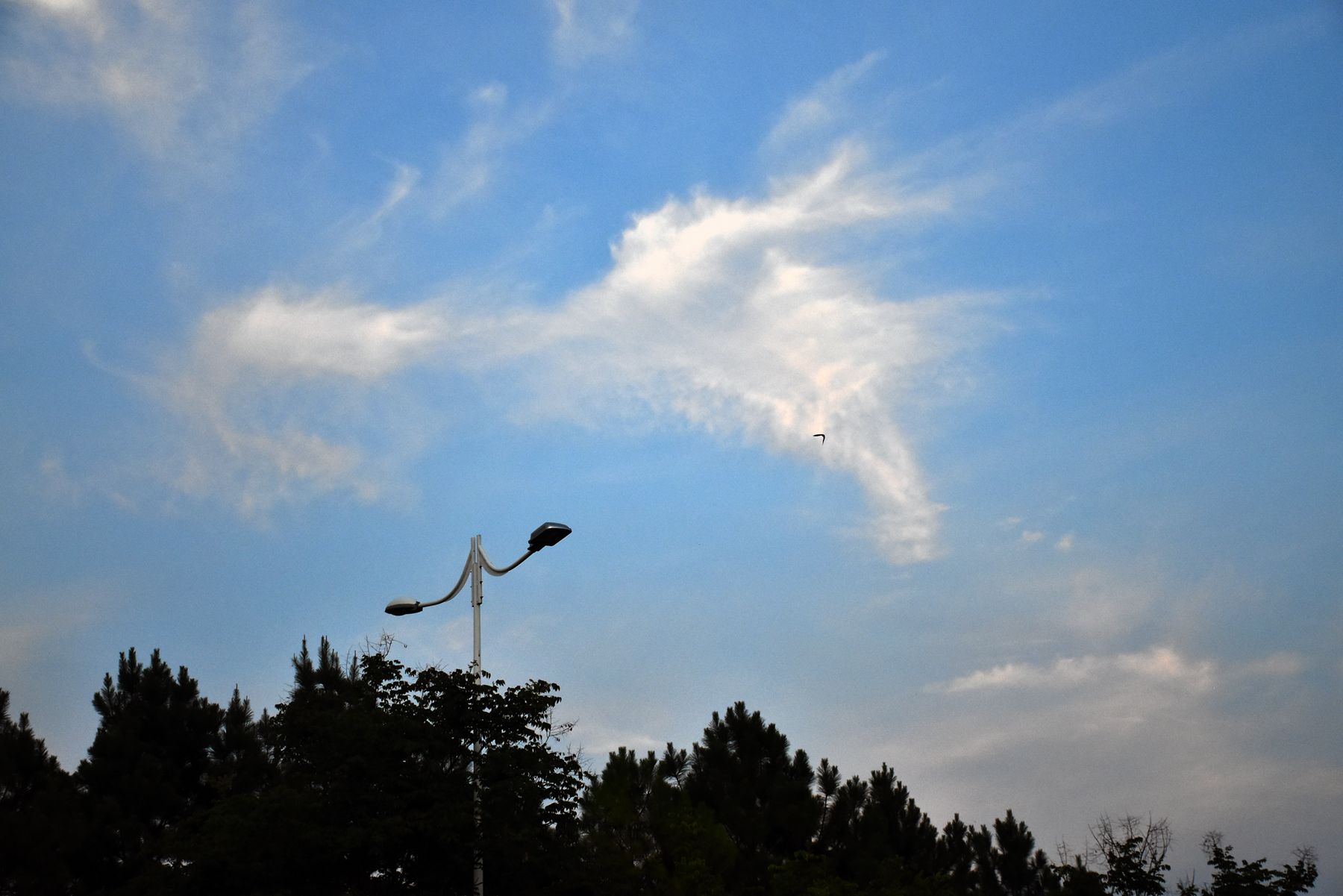DSC_0007.JPG