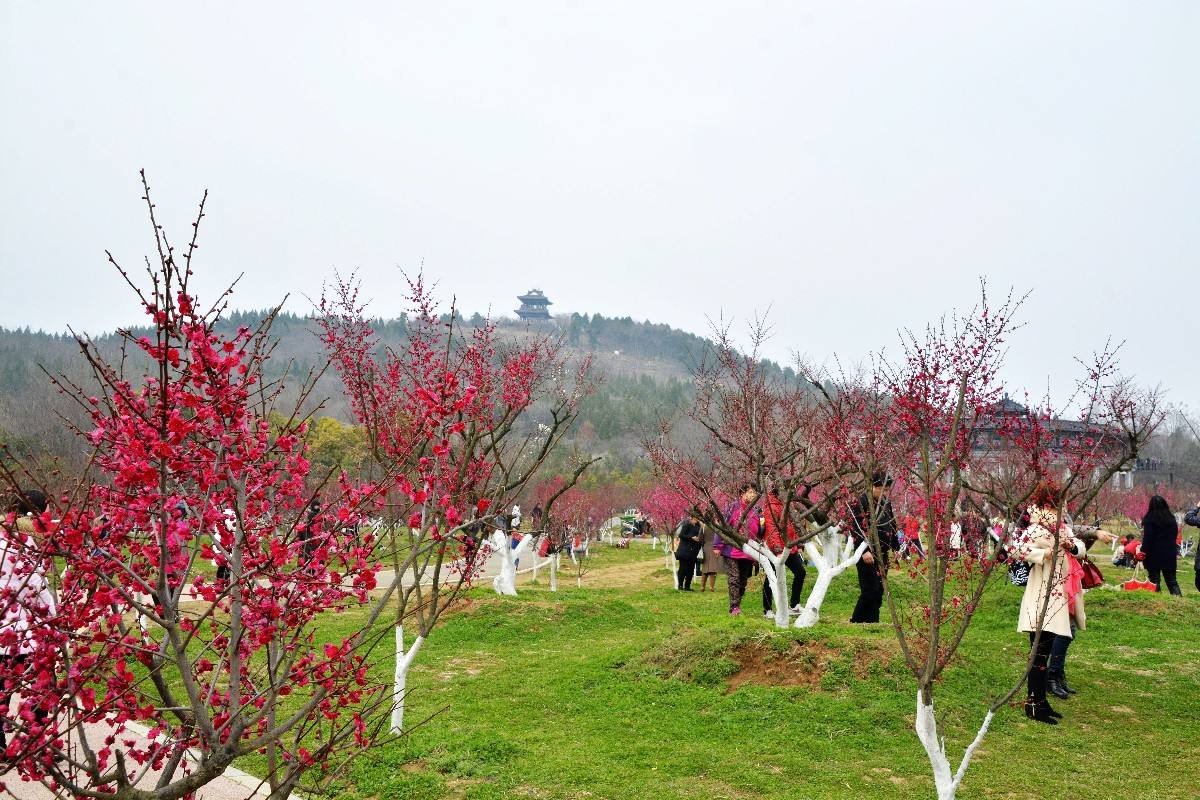 微信圖片_20191216093805.jpg