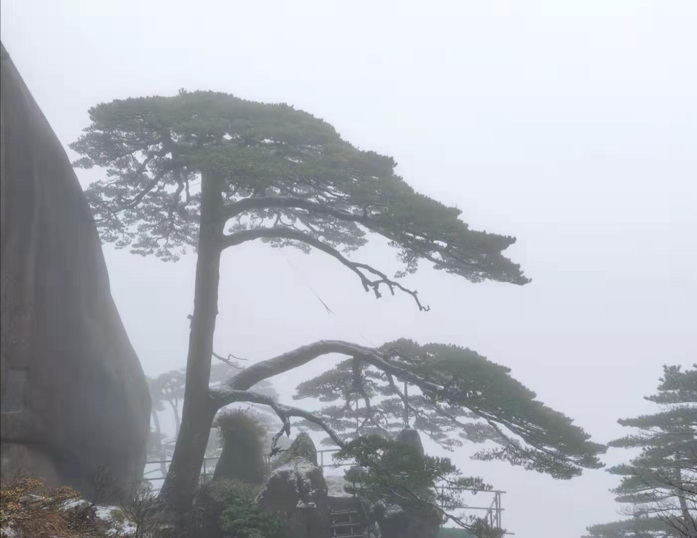 微信圖片_20191225165303.jpg