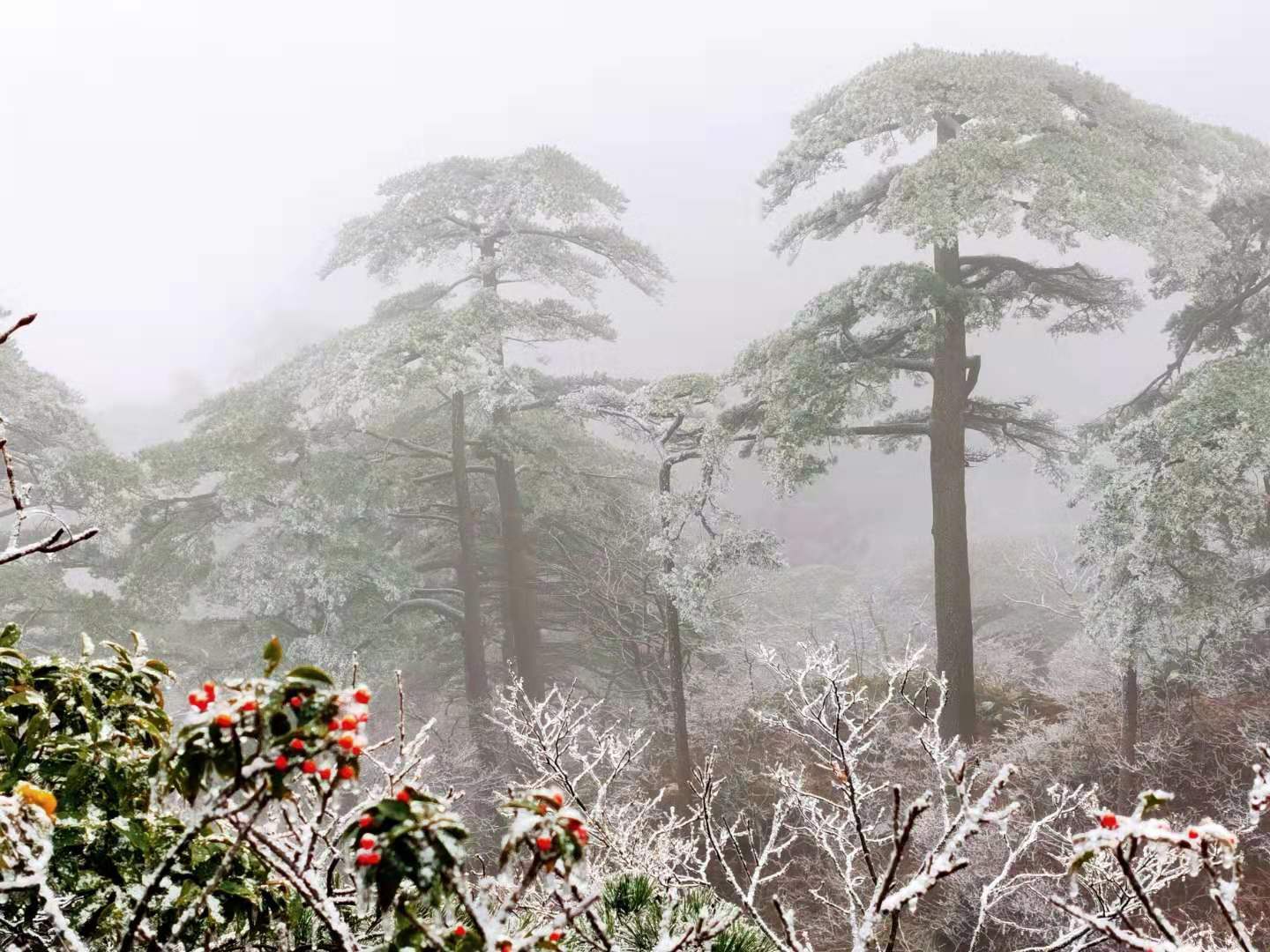 微信圖片_20191225165311.jpg