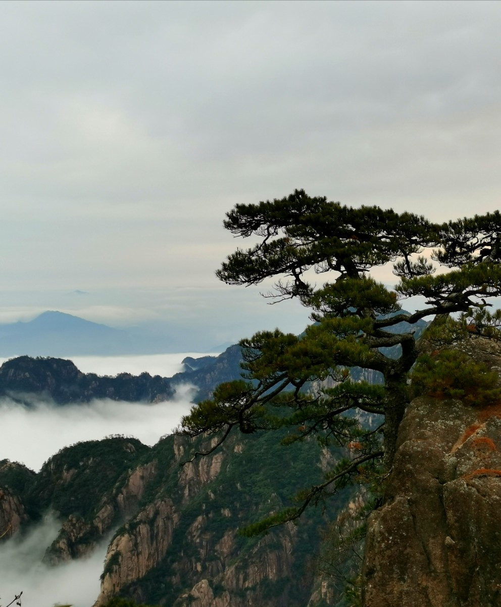 微信圖片_20191225165406.jpg