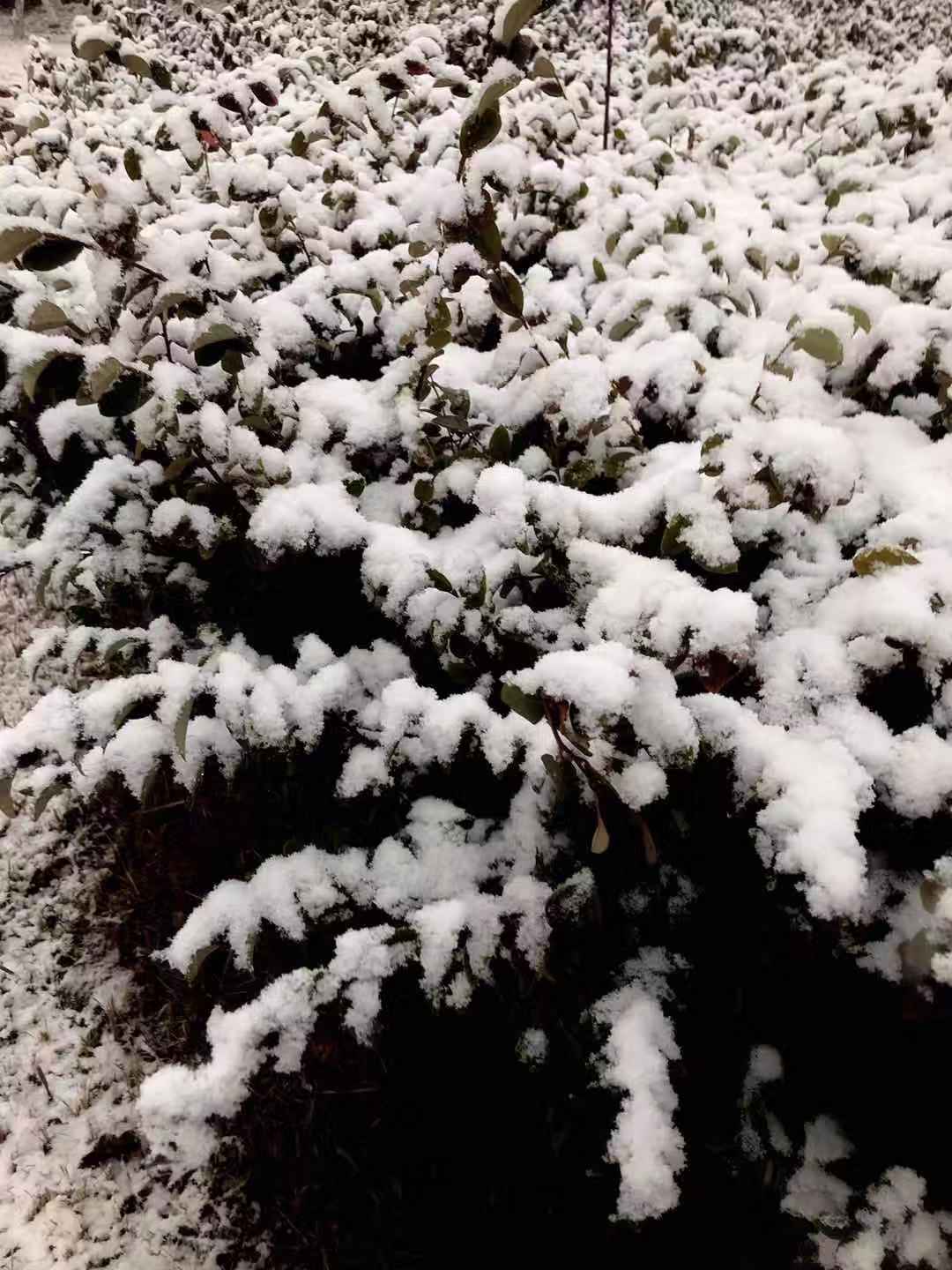 微信圖片_20200121105431.jpg