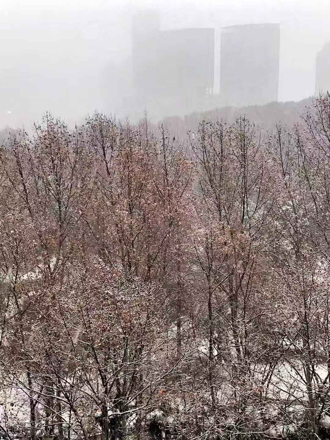 微信圖片_20200121105412.jpg