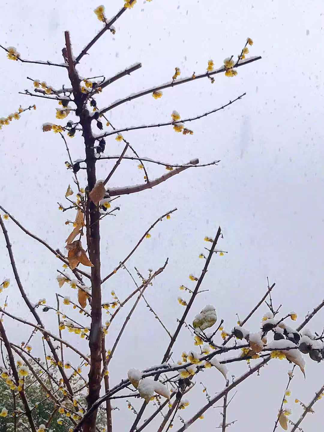 微信圖片_20200121105426.jpg