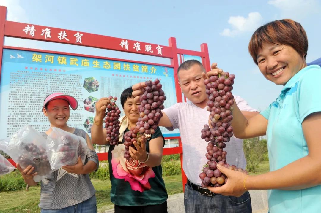 15微信圖片_20190925122242.jpg