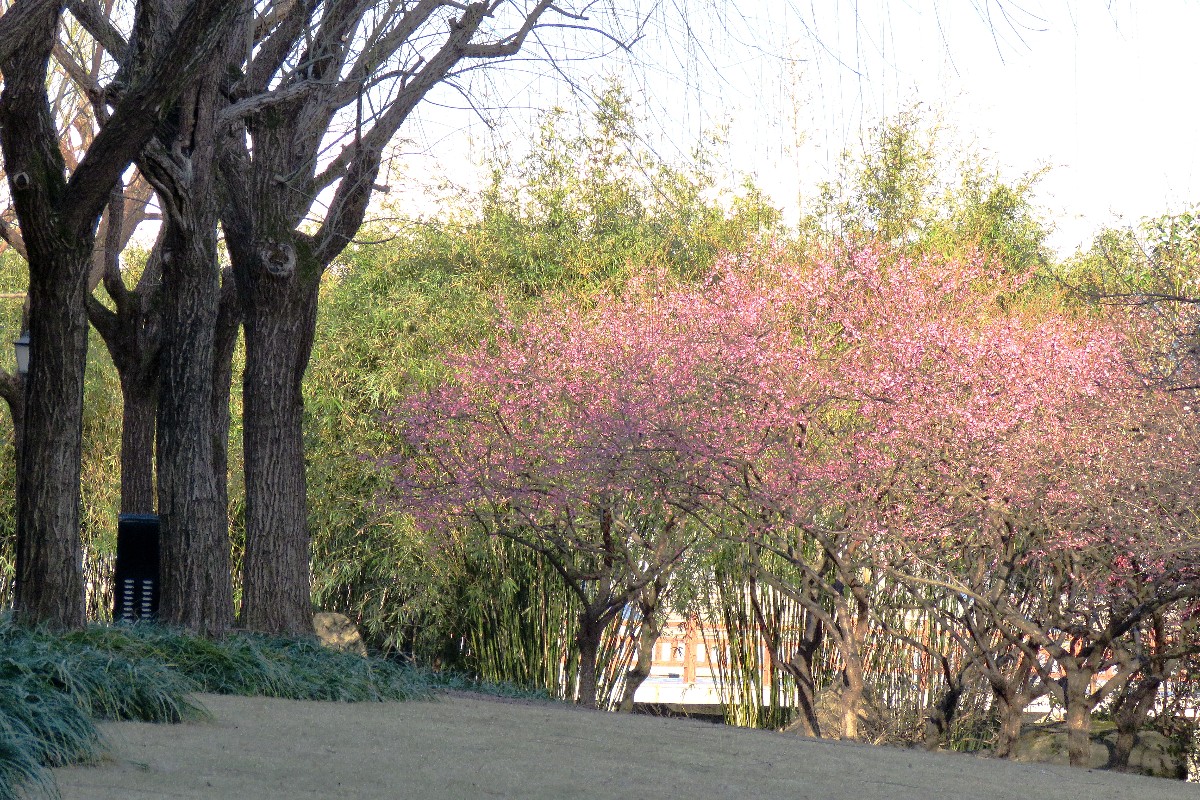 IMG_6435.JPG