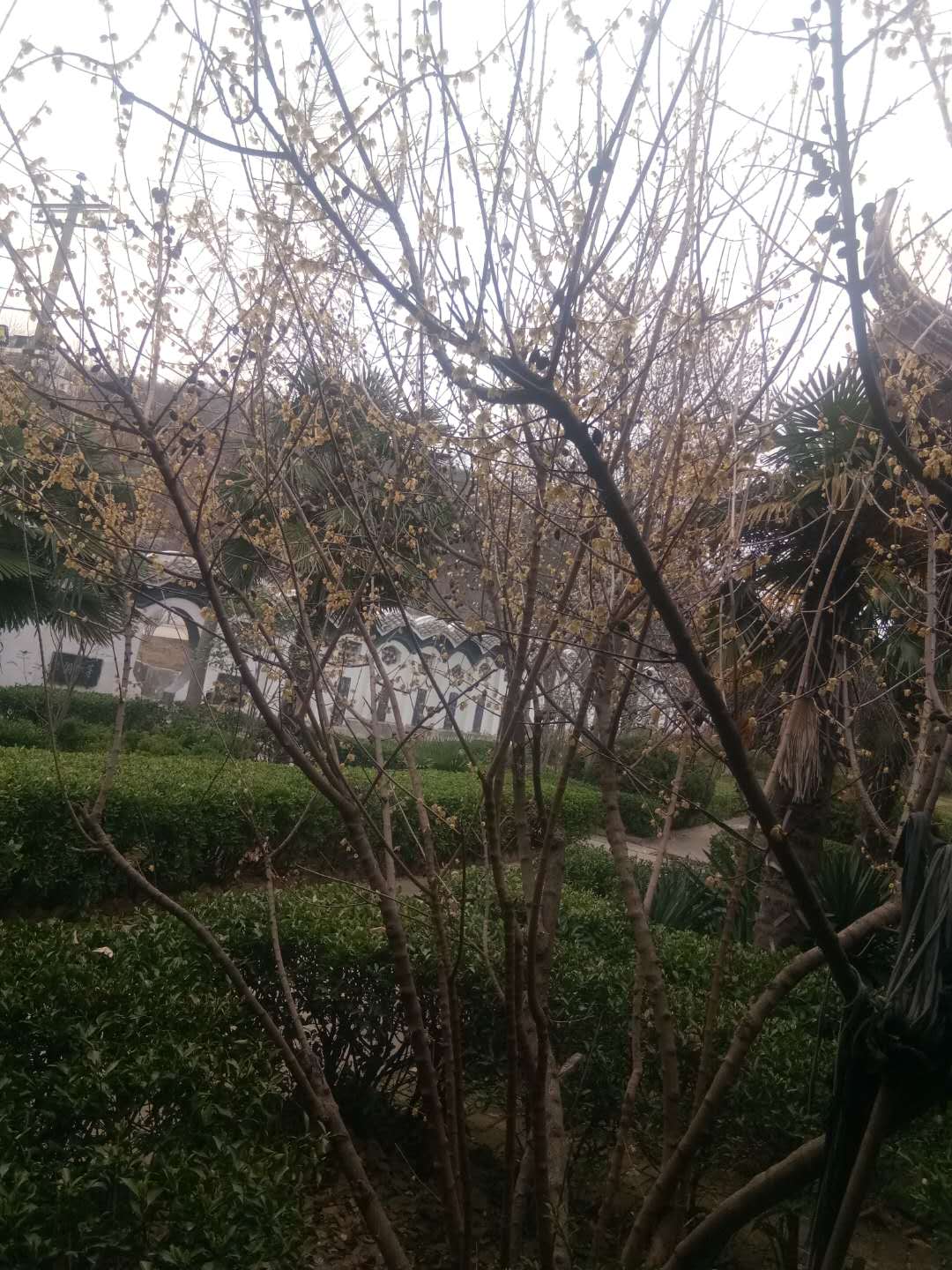 微信圖片_20200224101113.jpg