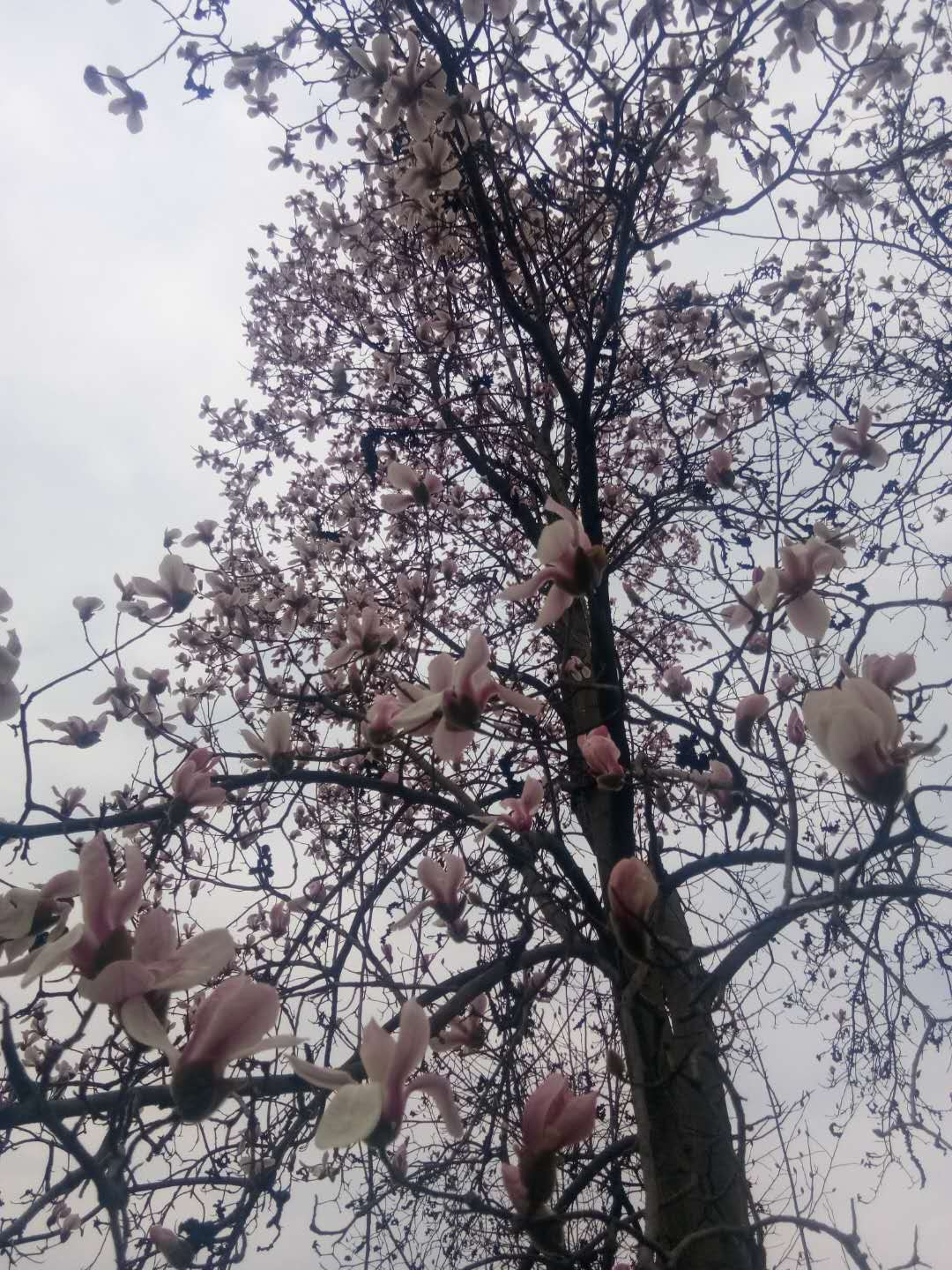 微信圖片_20200224101144.jpg