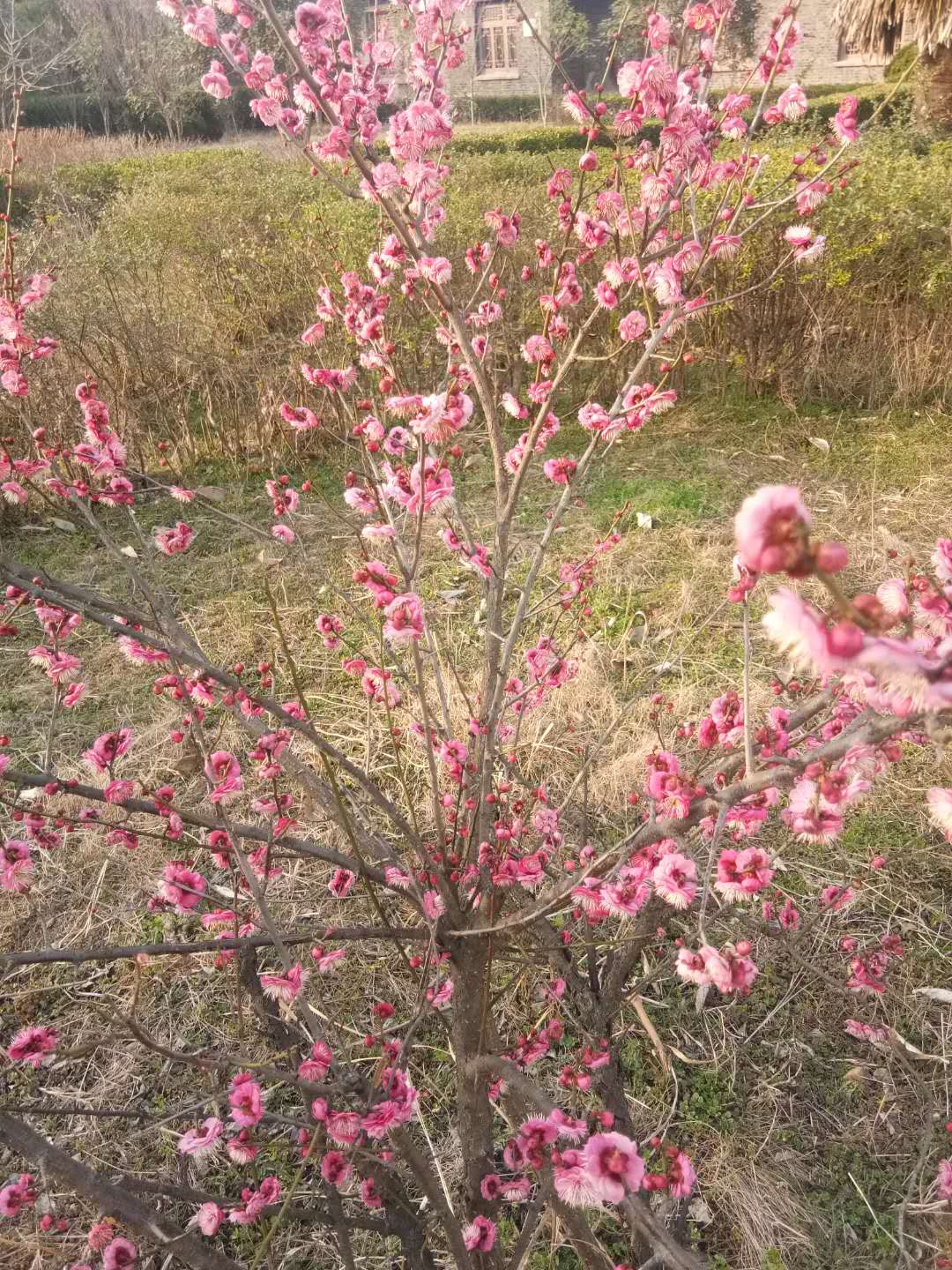 微信圖片_20200224101151.jpg