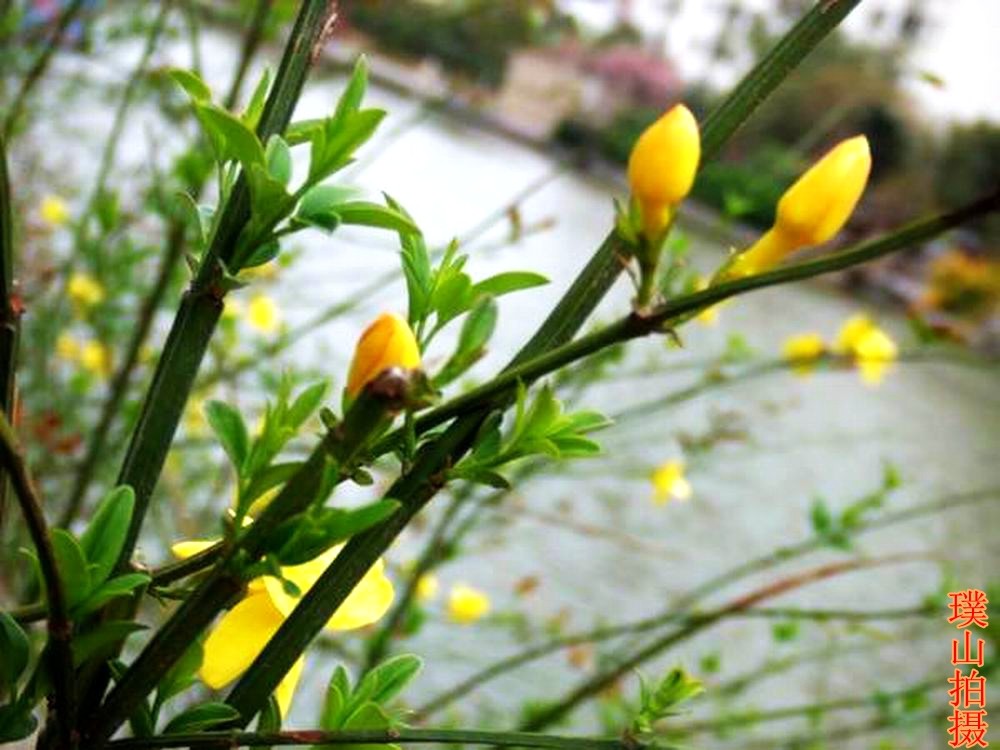 照片 041.jpg
