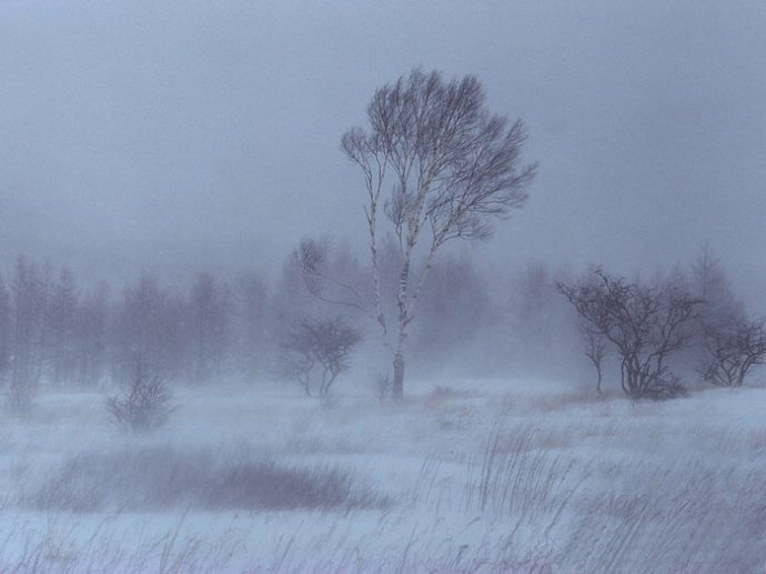 風(fēng)雪霧霾.jpg