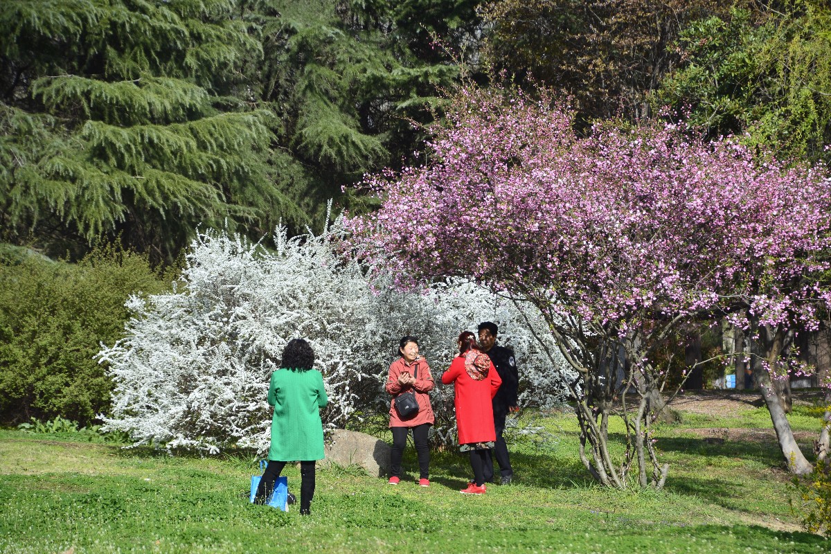 _DSC4299_edited.jpeg