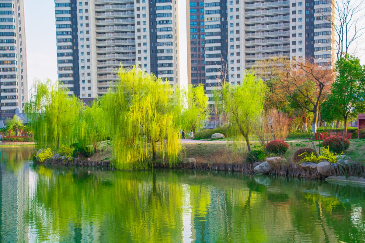 微信圖片_20200324154926.jpg
