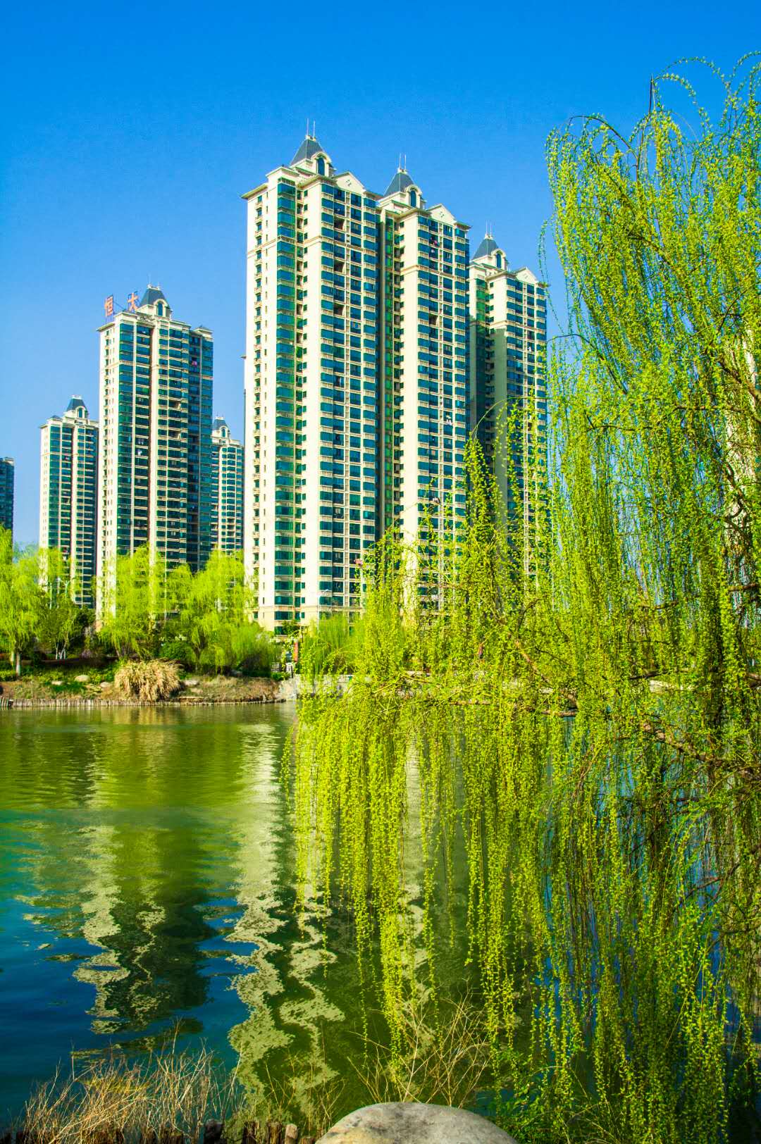 微信圖片_20200324154914.jpg
