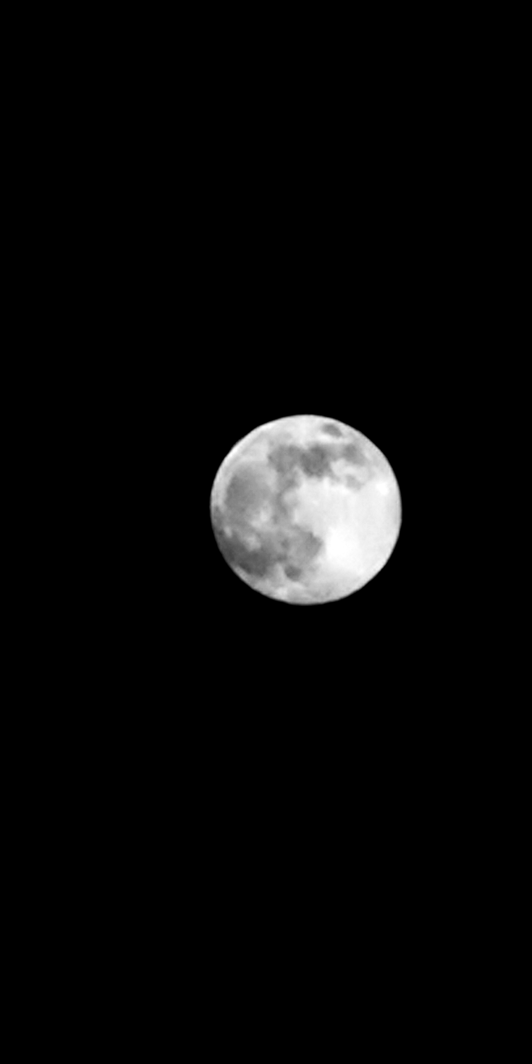 IMG_20200407_215814.jpg