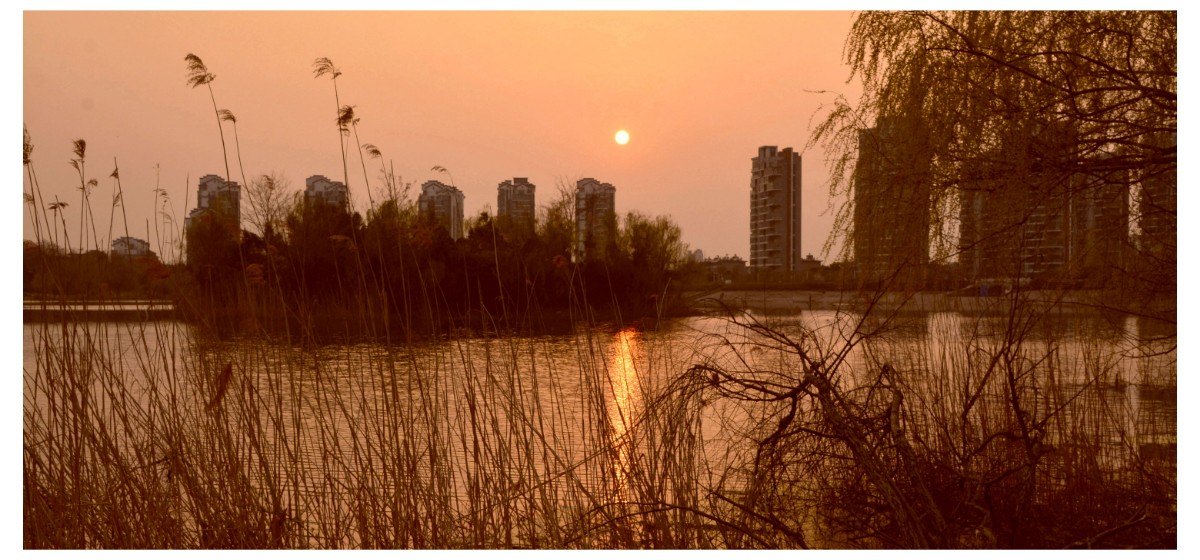 微信圖片_20200519150341.jpg 微信圖片_20200519150341.jpg