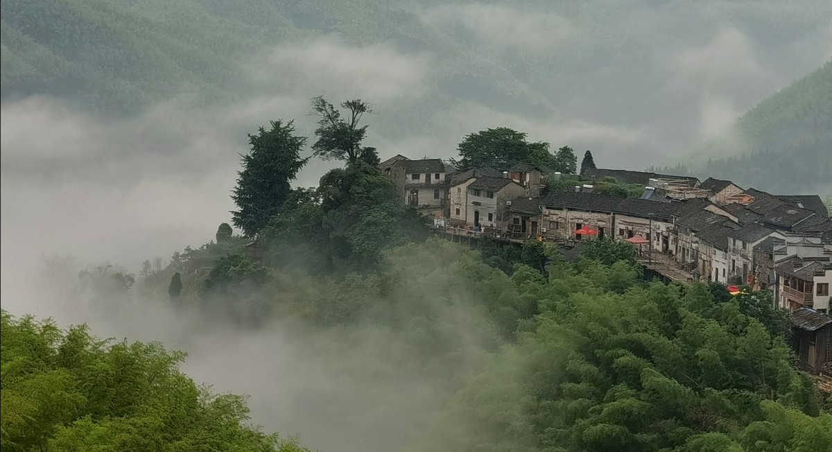 微信圖片_20200521190730.jpg