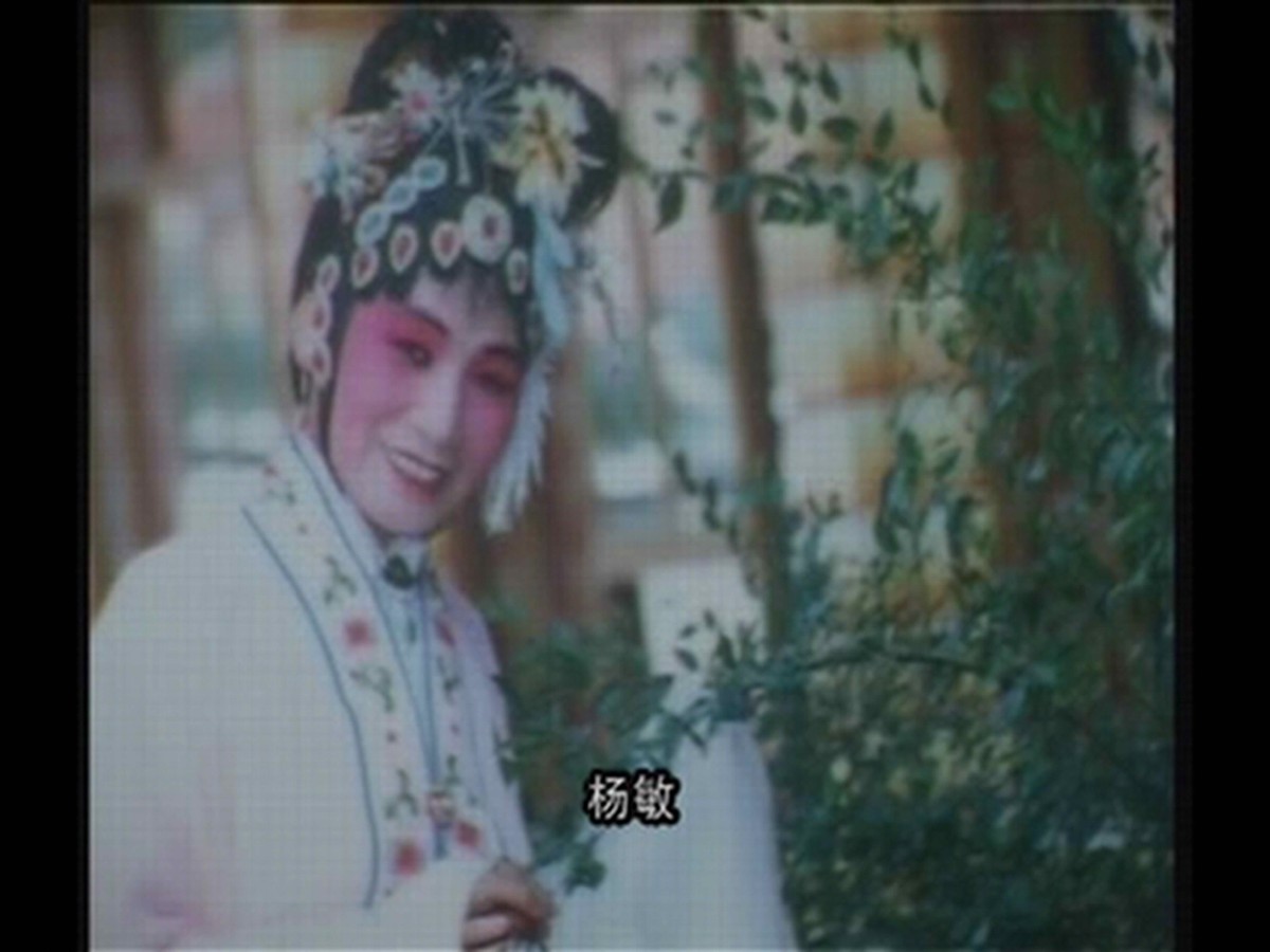 楊敏劇照.jpg 楊敏劇照.jpg
