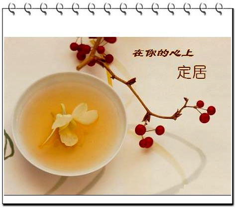 在你的心上定居（掛歷）.jpg
