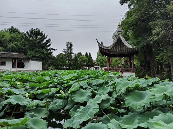 微信圖片_20200705213751.jpg