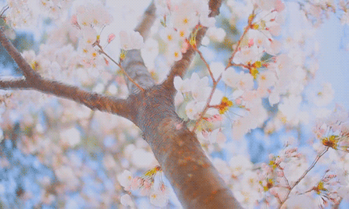 001XMnsVzy7Dwym5SLQe6&690.gif