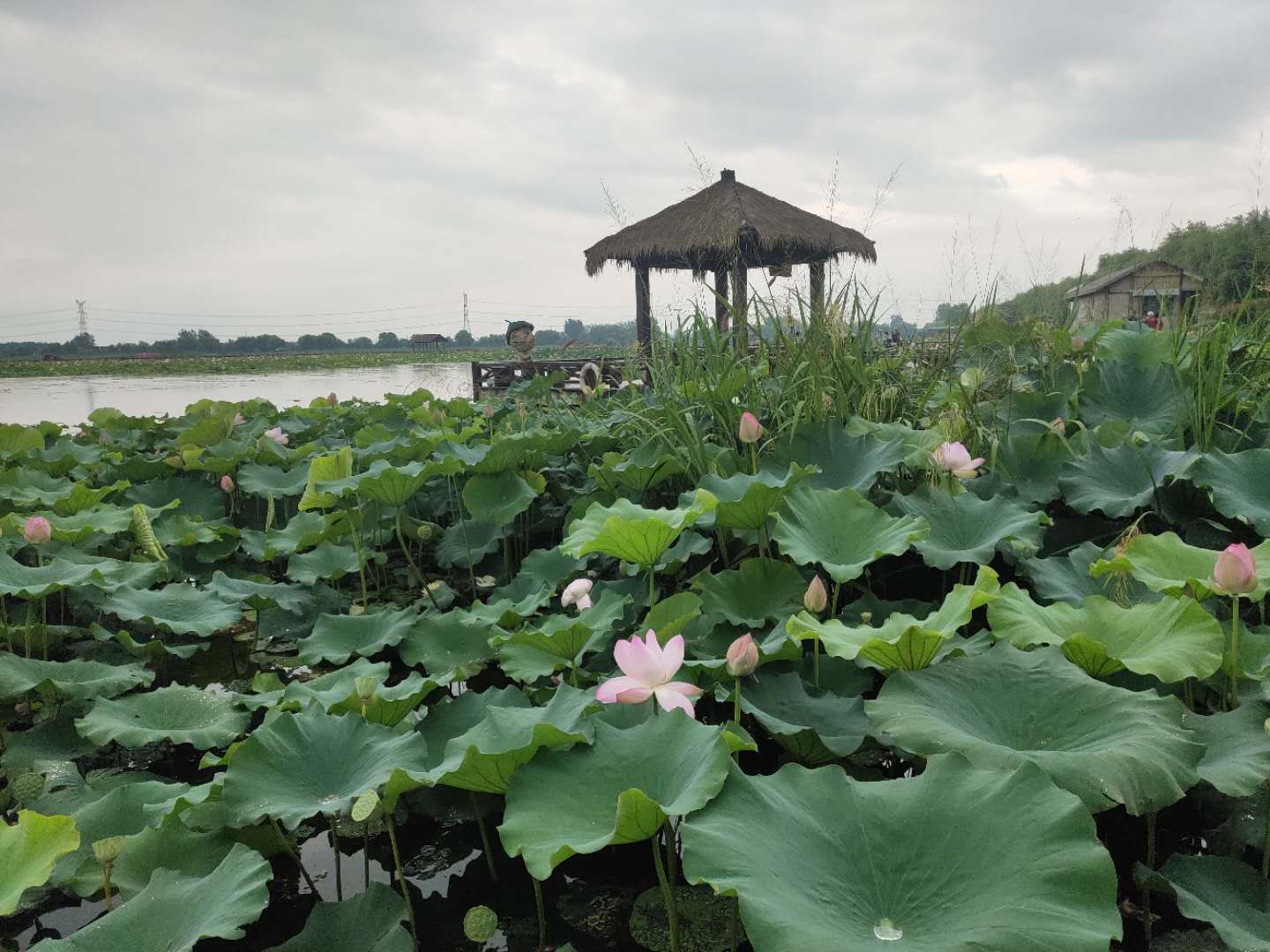 微信圖片_20200717154833.jpg 微信圖片_20200717154833.jpg