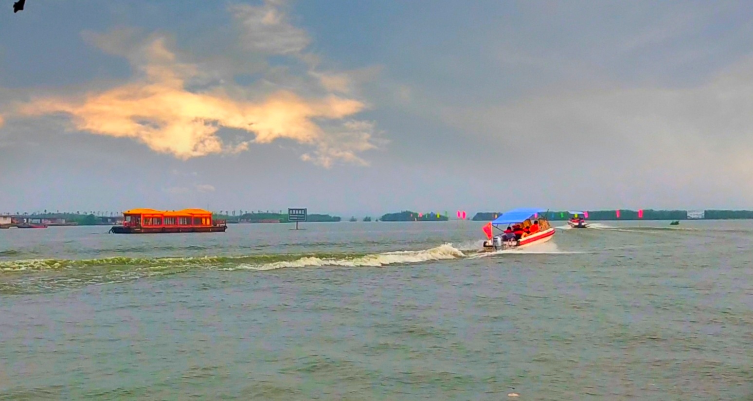 IMG_20200709_091250.jpg