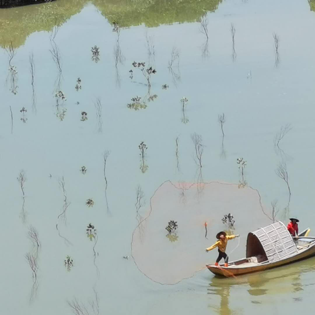 圖片4.png 圖片4.png