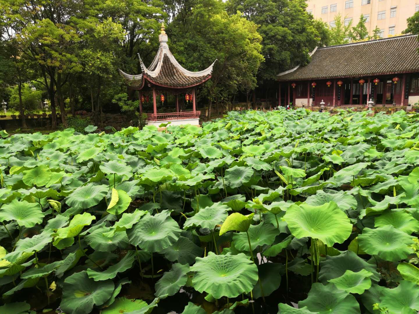 微信圖片_20200811134559.jpg